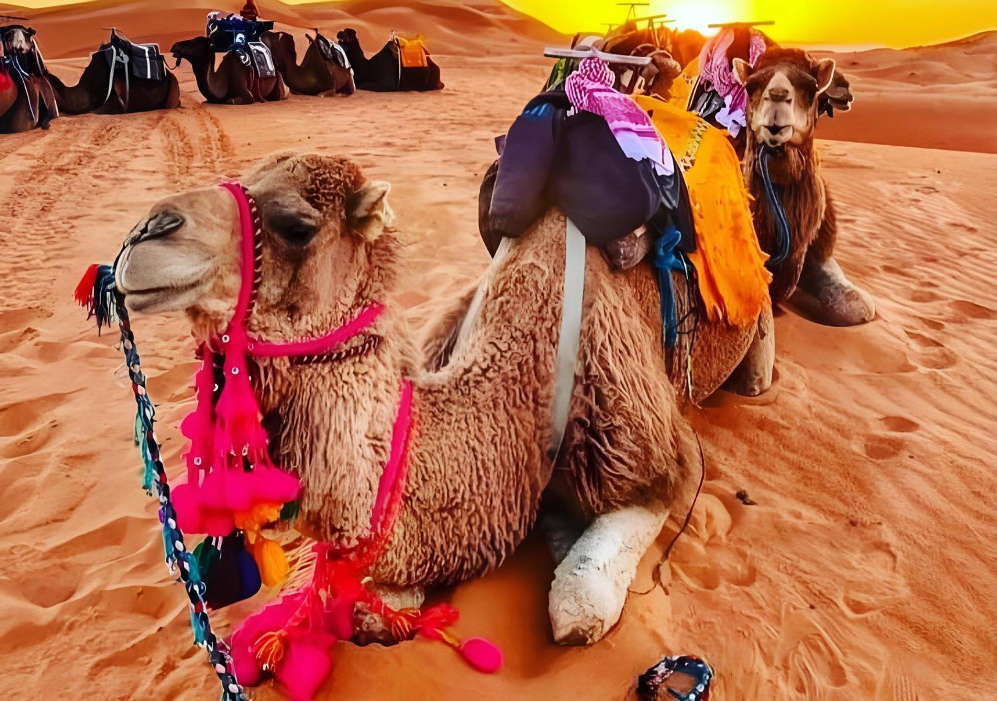 Merzouga Luxurious Tented Exterior photo